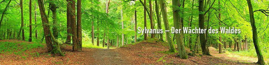 Sylvanus alap�tv�ny - Sopron