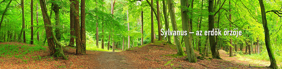Sylvanus alap�tv�ny - Sopron